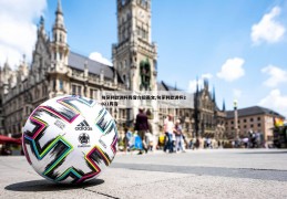 匈牙利欧洲杯阵容介绍英文,匈牙利欧洲杯2021阵容