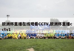 欧洲杯直播在线观看CCTV,欧洲杯直播cctv1